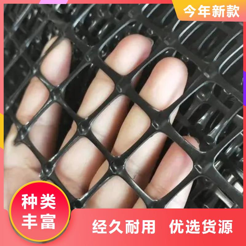 钢塑格栅出厂价格厂家