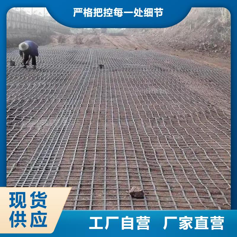 双向土工格栅放心购买电话