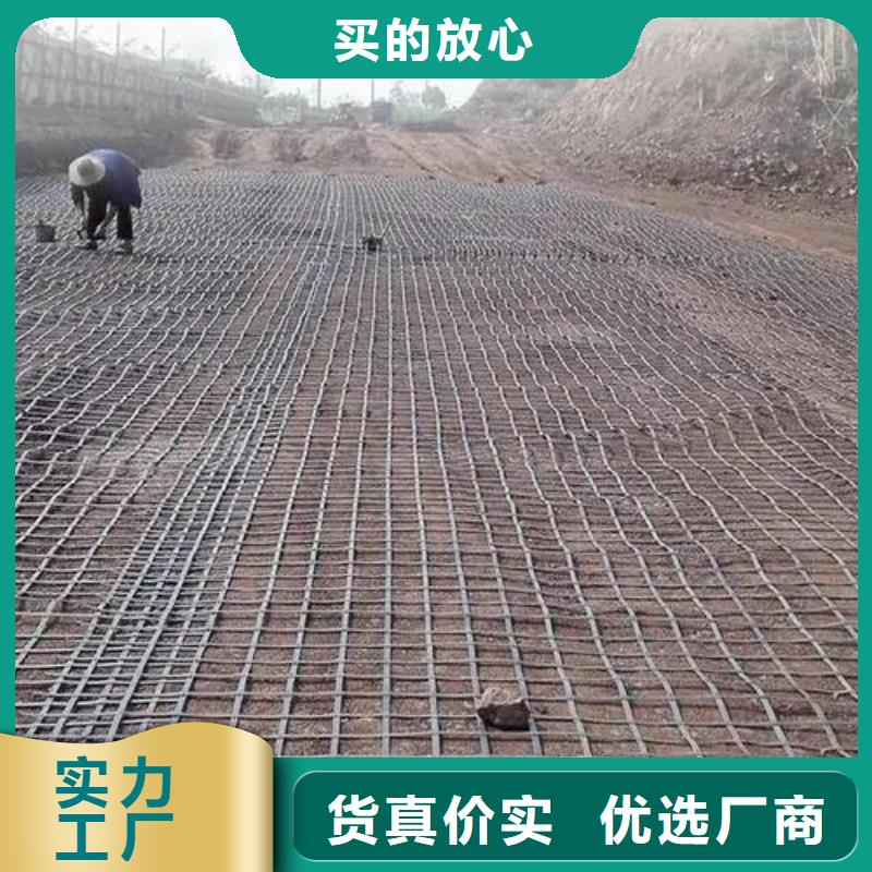 单向土工格栅解决方案厂家