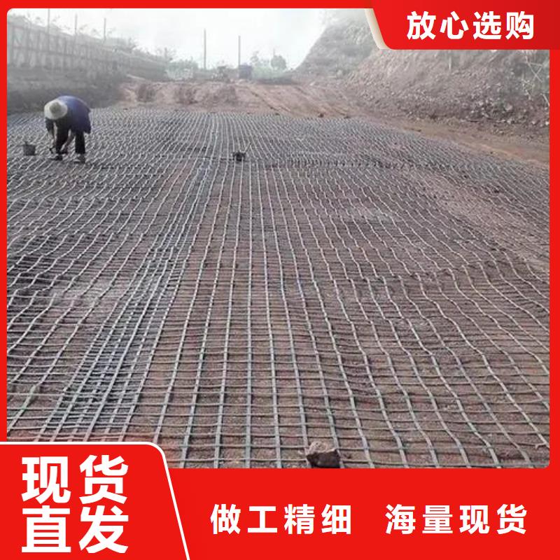 双向土工格栅10年经验电话