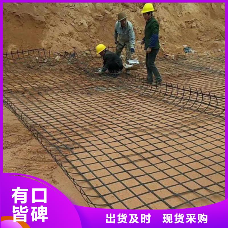 定安县土工格栅信赖厂家