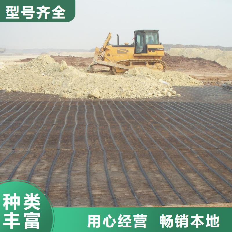 定安县土工格栅信赖厂家