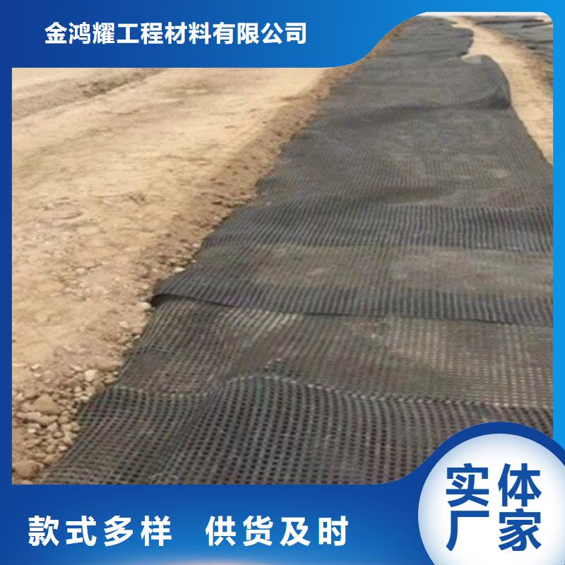 土工格栅现货充足厂家