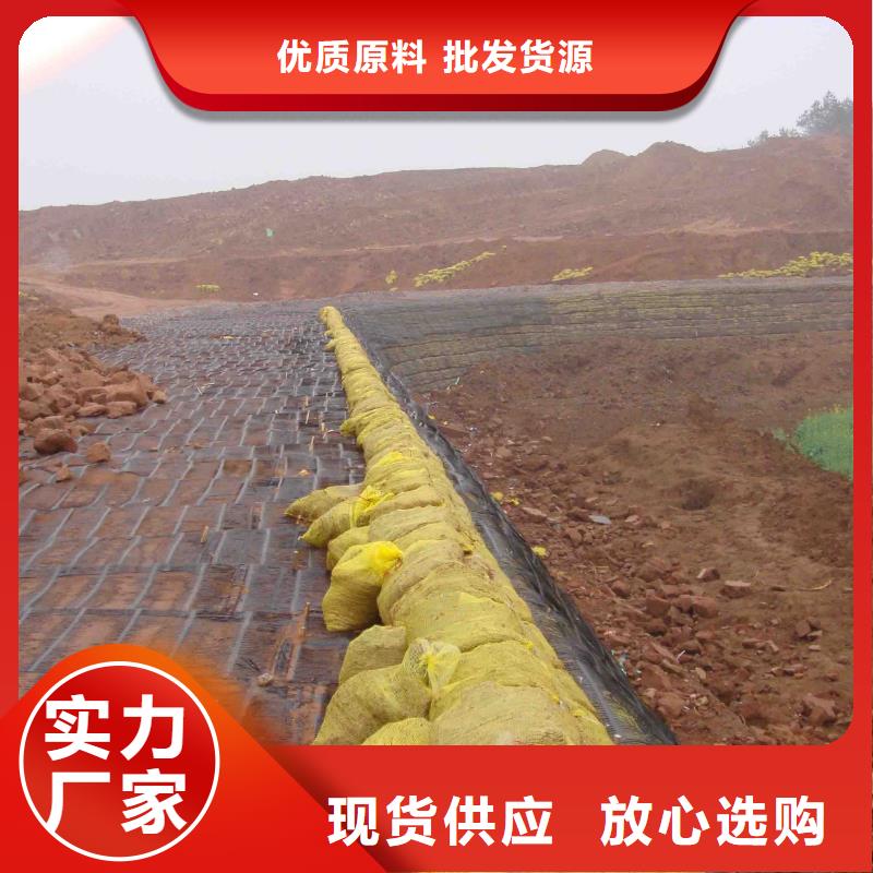 单向土工格栅可定制厂家
