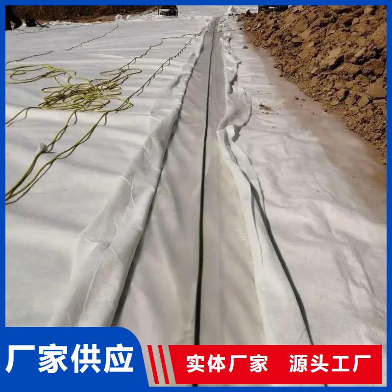 土工布-聚乙烯醇纤维商家
