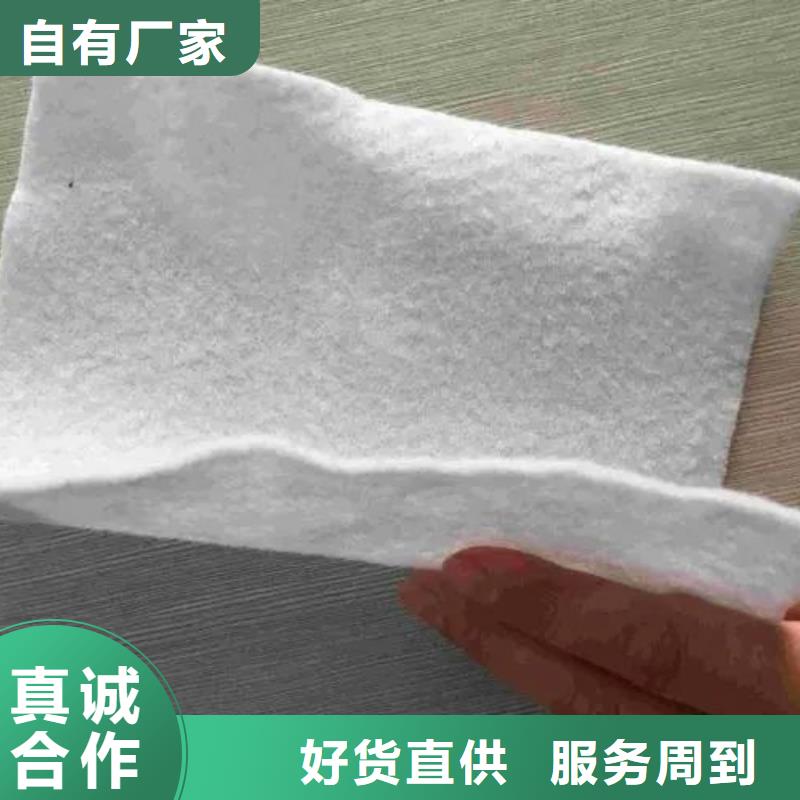 【土工布】土工膜精致工艺
