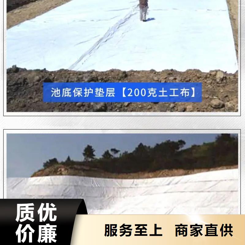 土工布【砂浆混凝土纤维】认准大品牌厂家