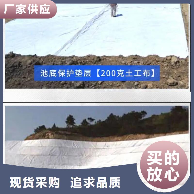 【土工布聚丙烯单丝纤维厂家技术完善】