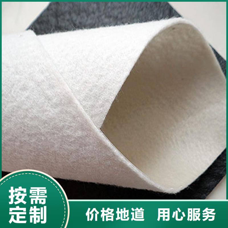 土工布仿钢塑钢纤维产地直供
