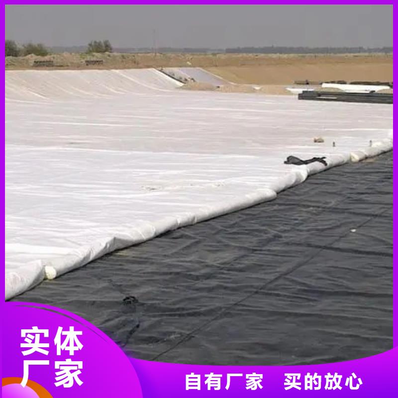 土工布-土工膜实力厂商
