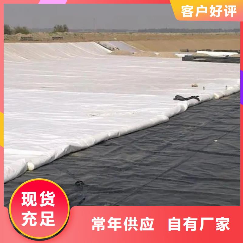 【土工布】-铜片止水厂家海量库存