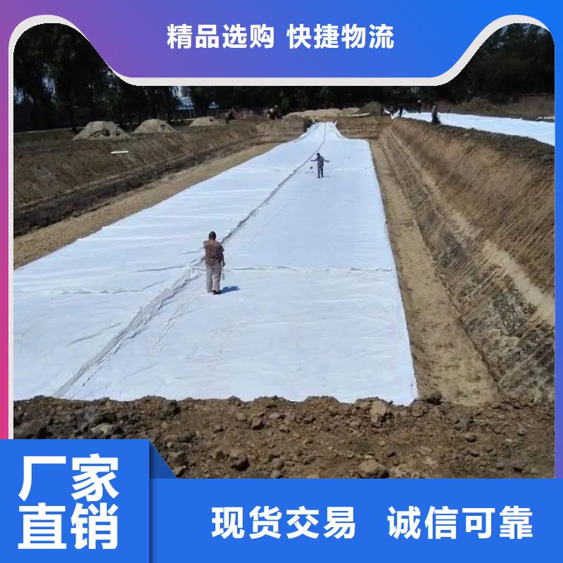 土工布-聚乙烯醇纤维商家