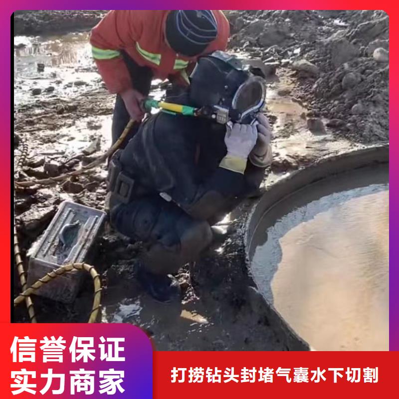 潜水员封堵气囊价格低交货快