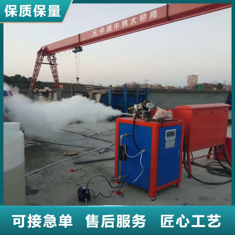 链条蒸汽锅炉