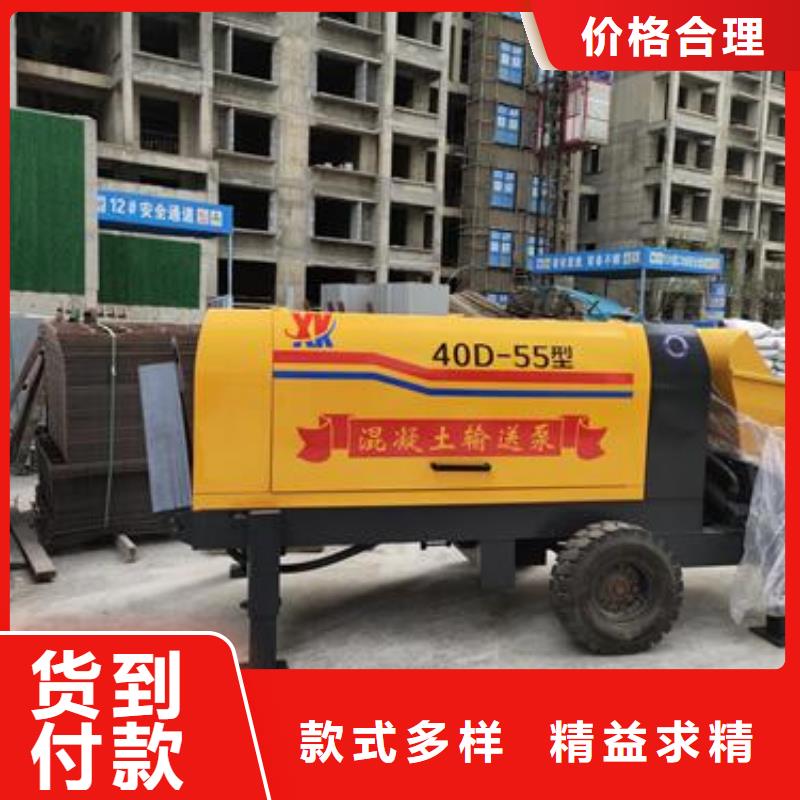 小型打混凝土的泵机