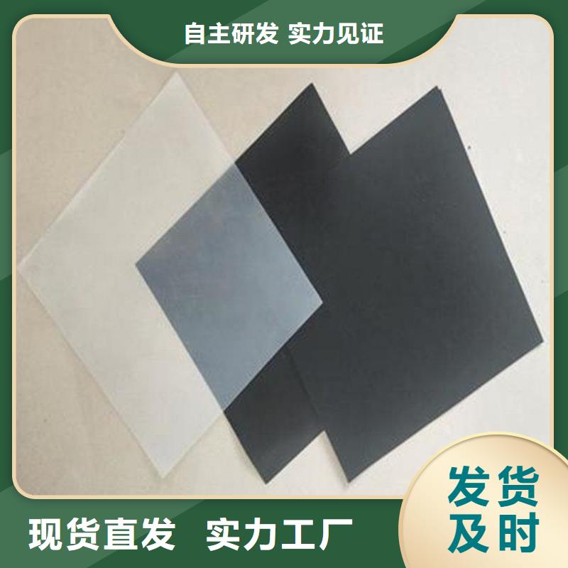 土工膜双向土工格栅大量现货