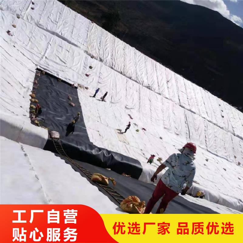 防渗膜-养猪场防渗膜-水库防渗土工膜