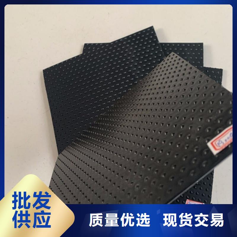 HDPE防渗膜-隧道HDPE土工膜