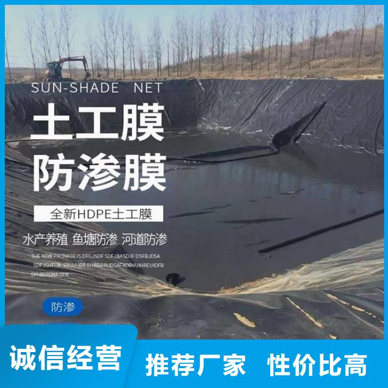 儋州市HDPE土工膜-化粪池防渗膜