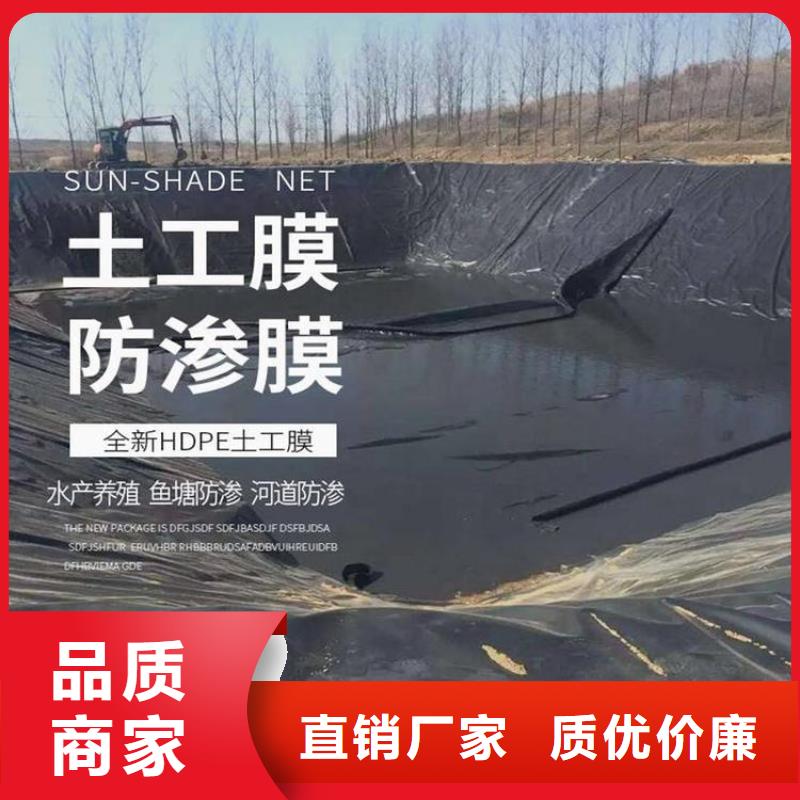 防渗土工膜/土工防渗膜厂家