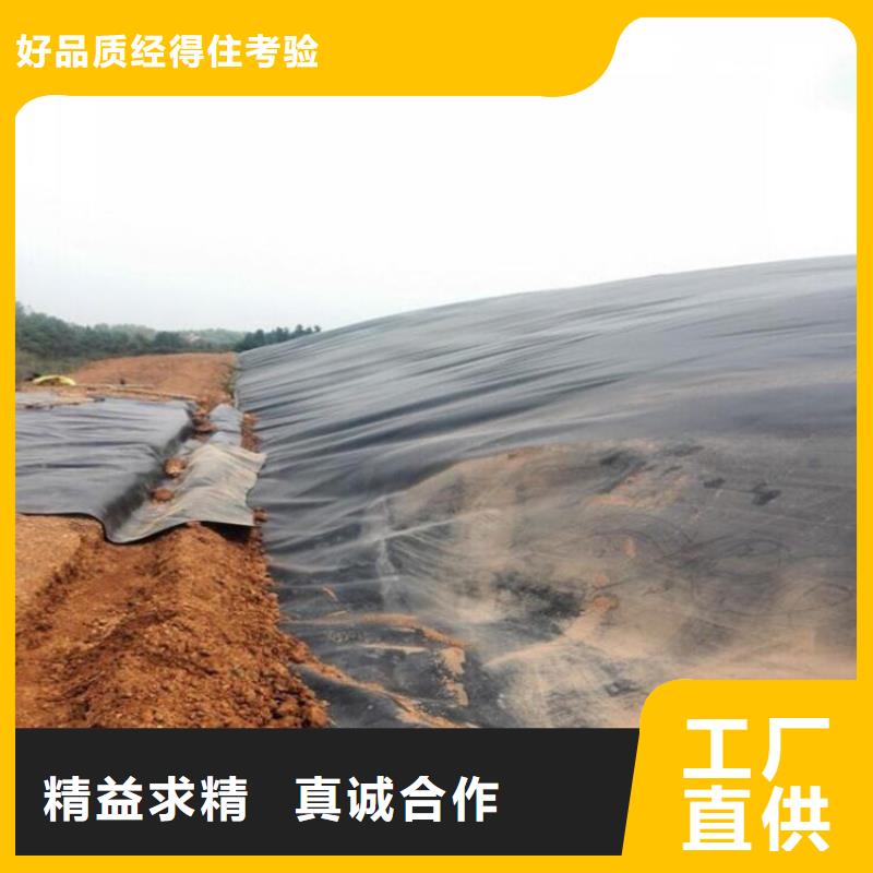 防渗土工膜-鱼池HDPE防渗膜