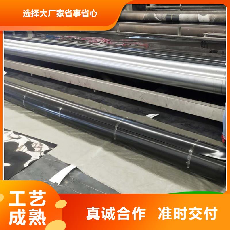 防渗膜-养猪场防渗膜-水库防渗土工膜