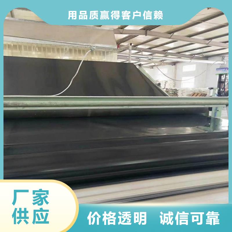 土工膜【塑料格栅】低价货源