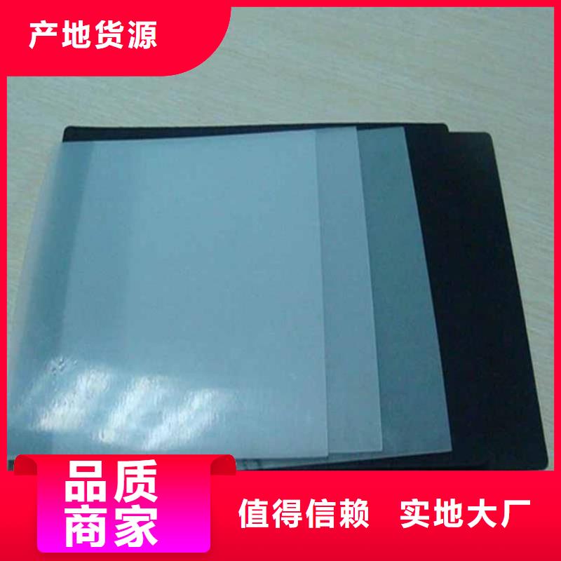 长丝复合土工膜-高密度聚乙烯防渗膜