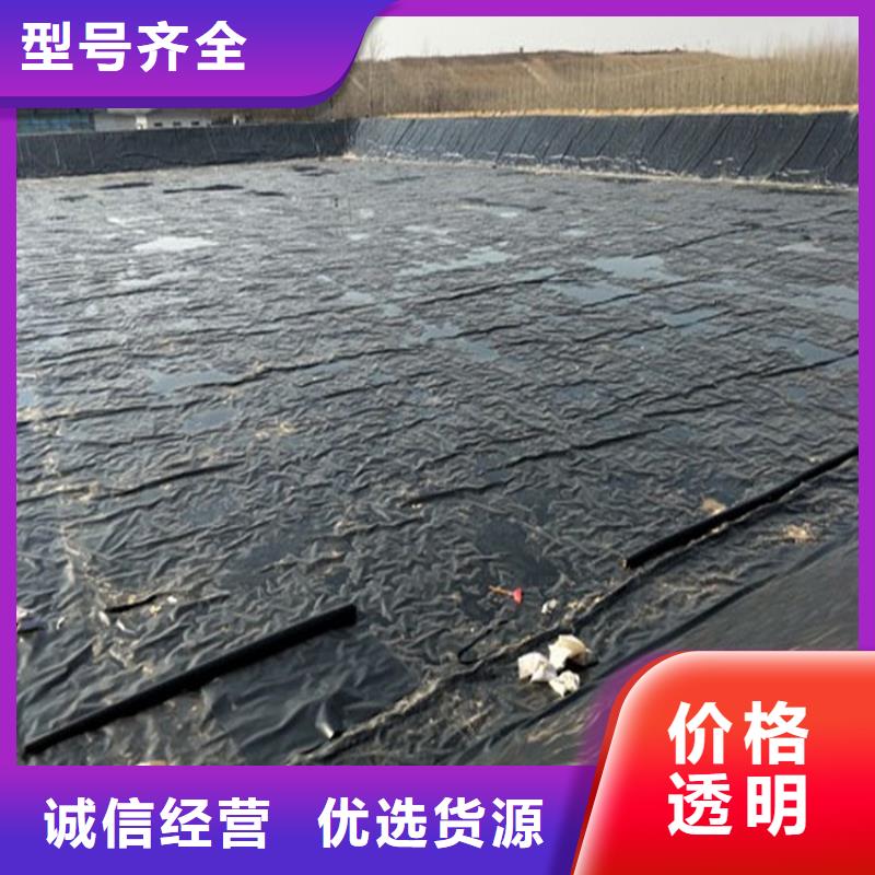 土工膜*鱼塘防渗膜*储油罐HDPE土工膜