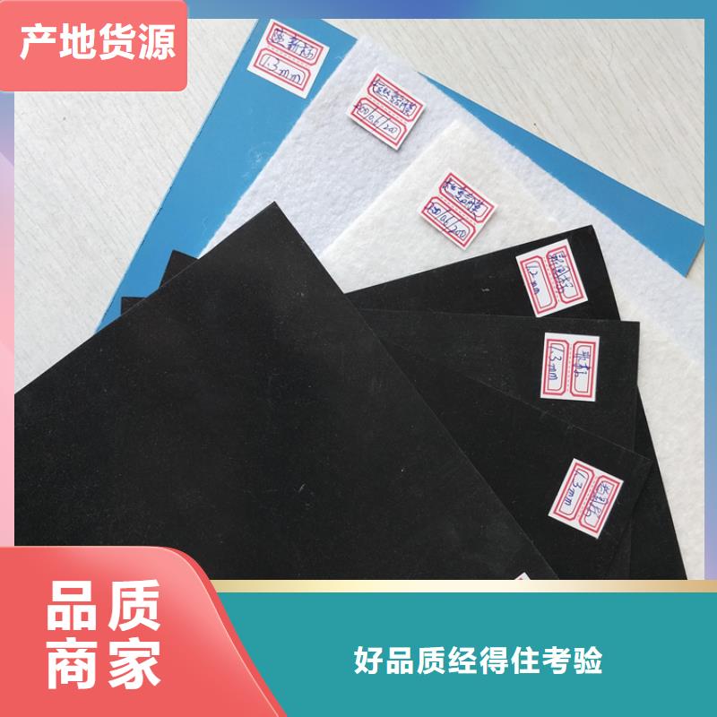 两布一膜土工膜施工团队