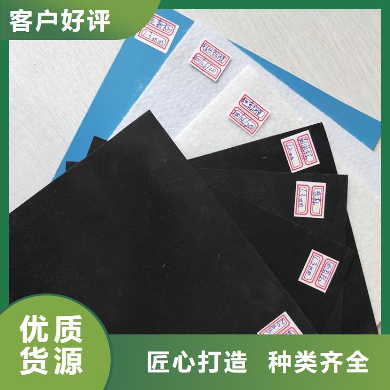 防渗膜-化粪池土工膜
