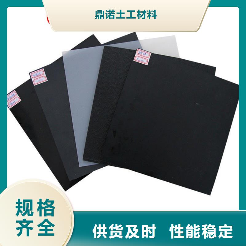 儋州市HDPE土工膜-化粪池防渗膜