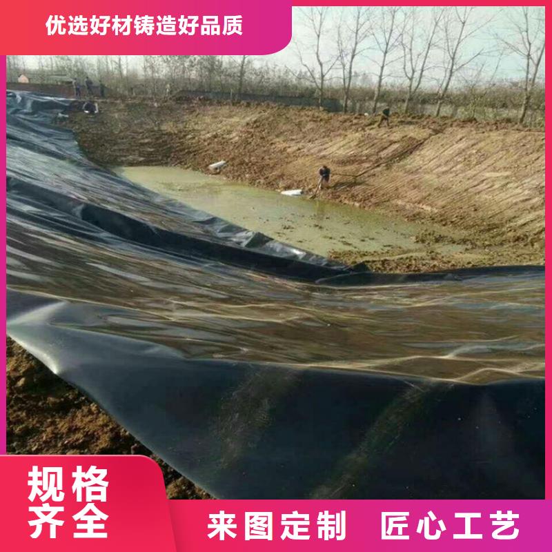 三布两膜复合土工膜-鱼池防渗膜