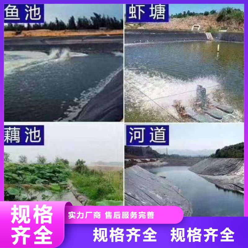 高密度聚乙烯土工膜-发酵池土工防渗膜