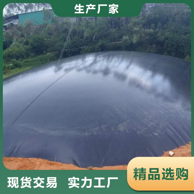 土工膜*沼气池防渗膜*人造湖防渗土工膜
