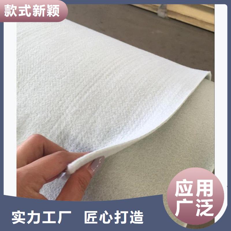 抗渗土工布