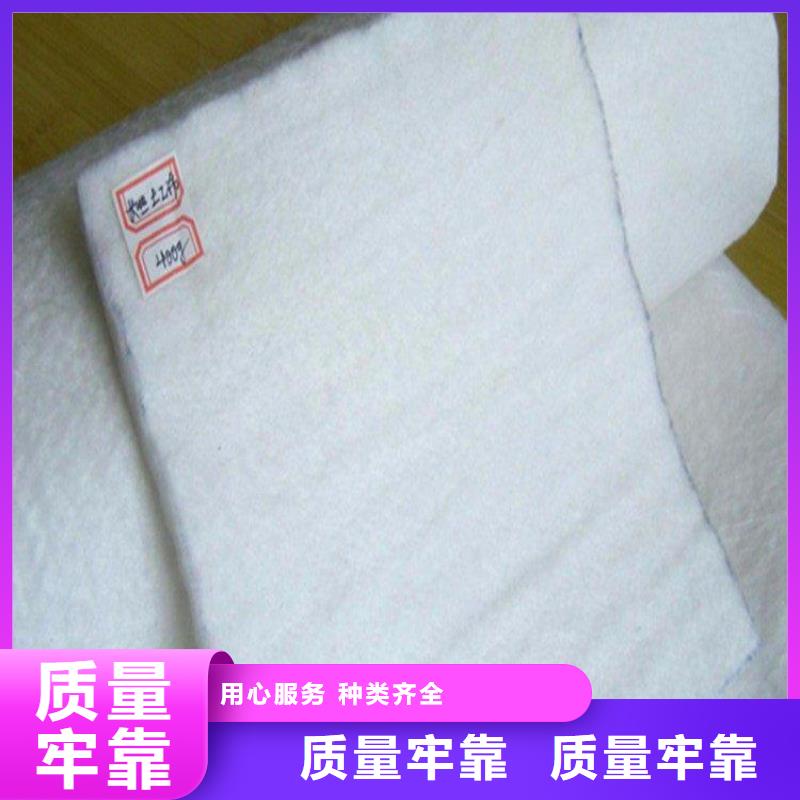 透水短纤针刺土工布