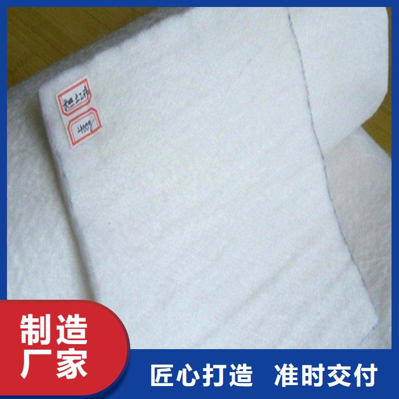 无纺土工布-长丝烧毛土工布