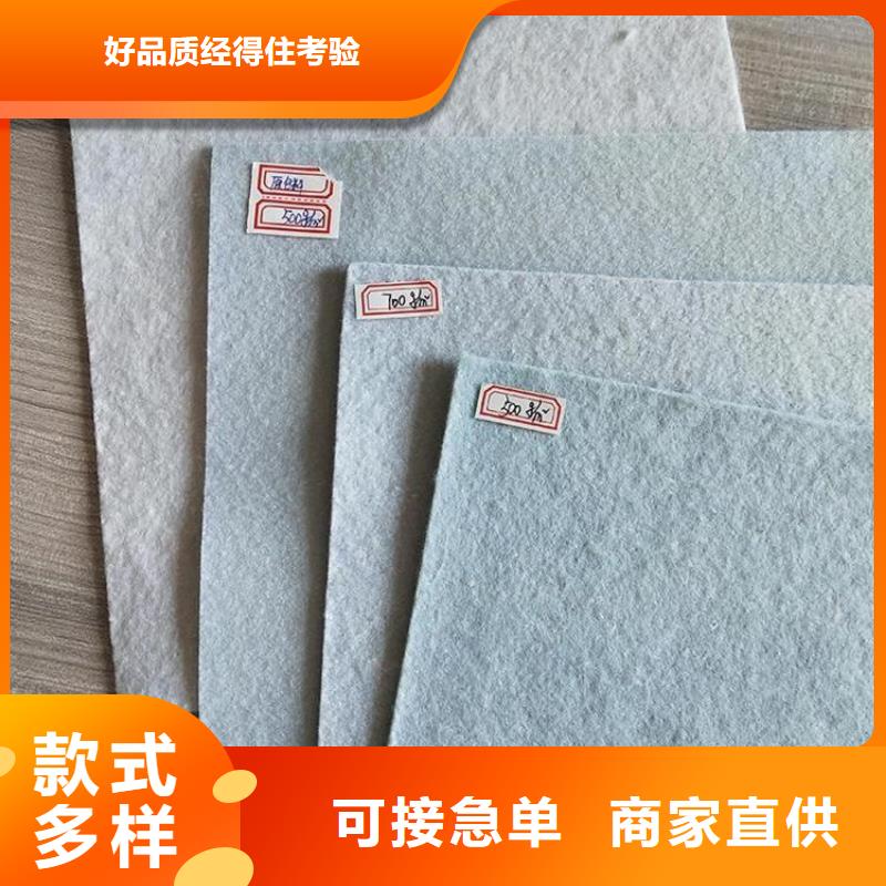 聚丙烯土工布-PET长丝无纺土工布