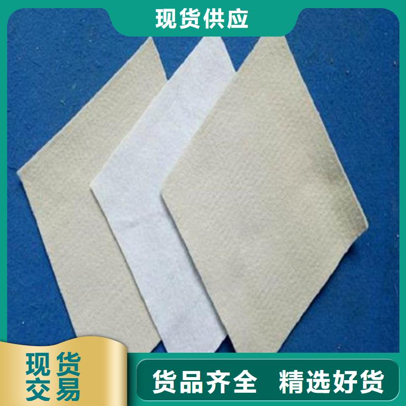防渗土工布