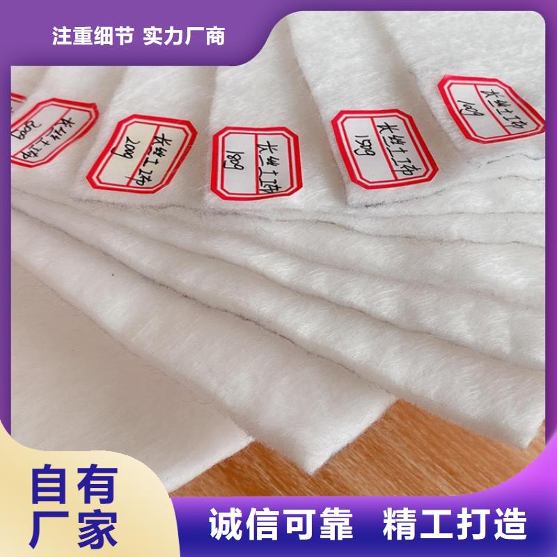 聚丙烯土工布-PET长丝无纺土工布