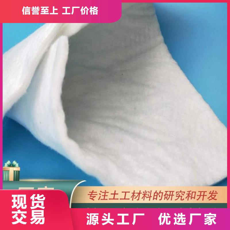 聚丙烯土工布-PET长丝无纺土工布