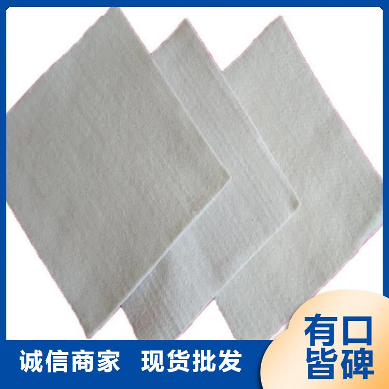防渗土工布-国标非标土工布