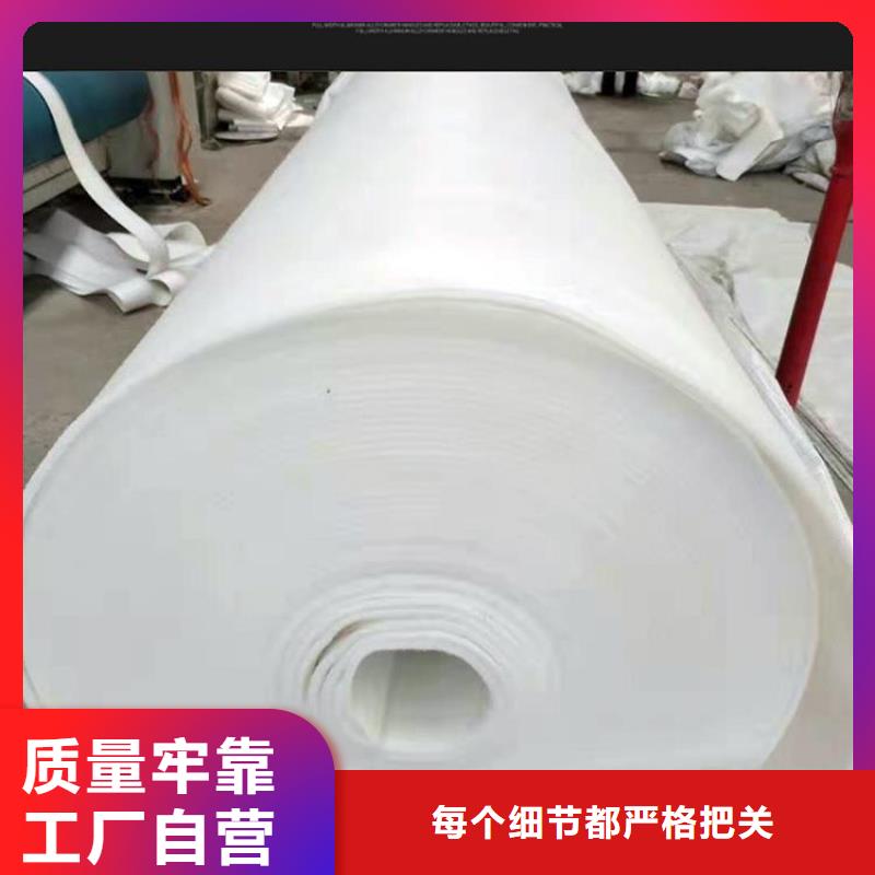 长丝无纺土工布施工资讯已更新