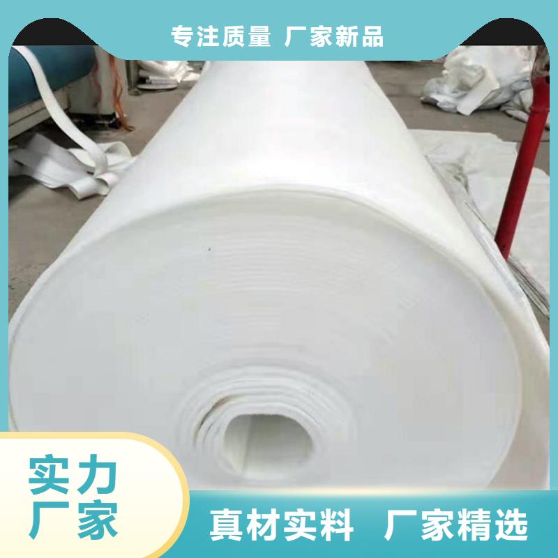 国标非标土工布施工队伍
