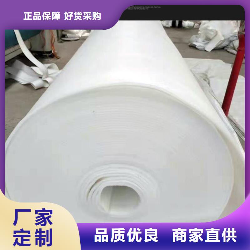 土工布-一布一膜防渗土工布