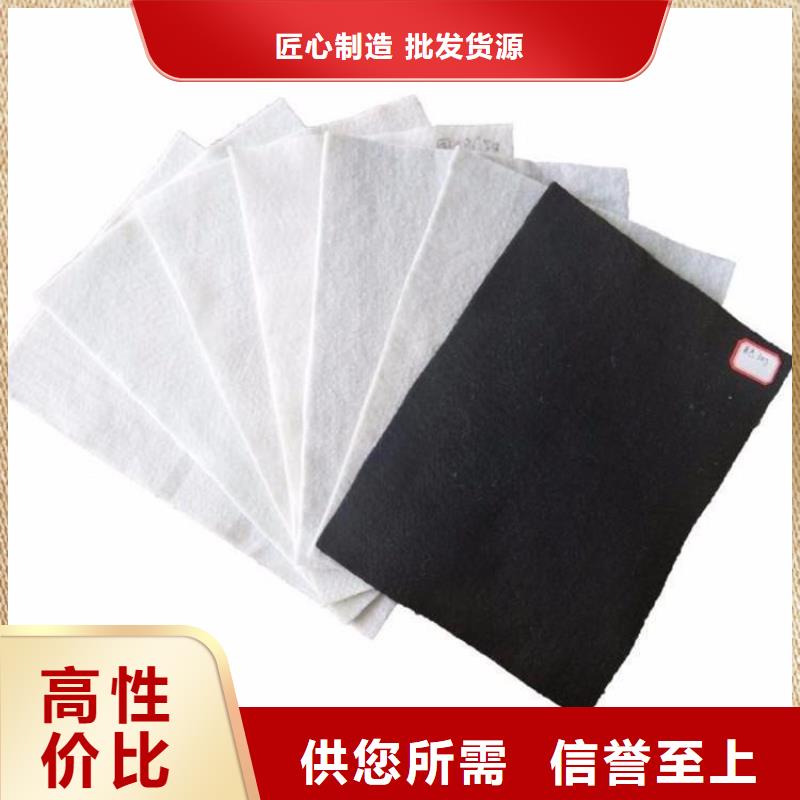 防渗土工布-国标非标土工布