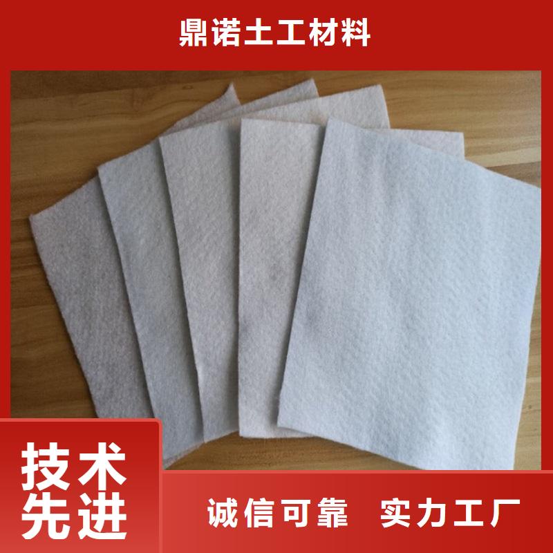 聚丙烯土工布-PET长丝无纺土工布