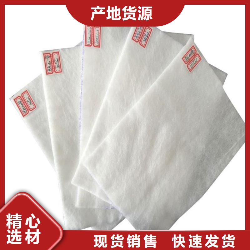 聚丙烯土工布-PET长丝无纺土工布