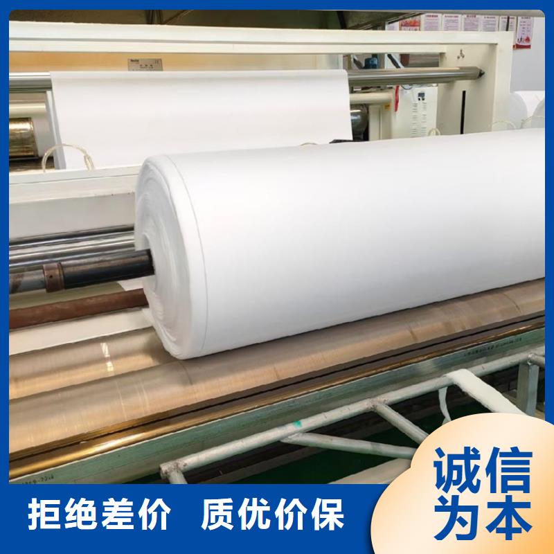 国标非标土工布